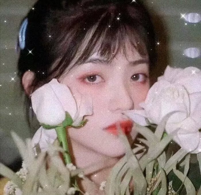 自然盛宴